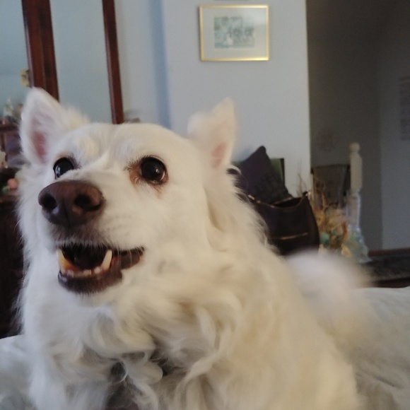 Meet Riley and Angie - Picture 2 of 5